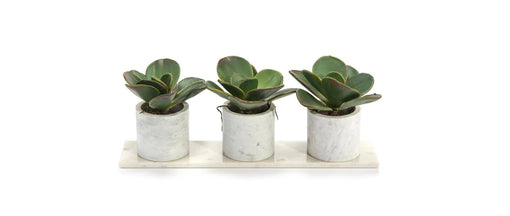 Bring John Richard Plants And Faux Home This Spring