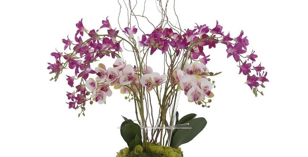 John Richard Rose Color Orchids
