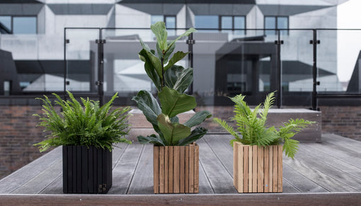 Ways To Enhance Home Décor With Vases