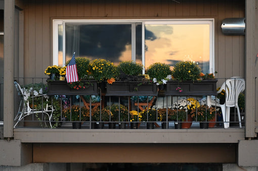 Beautify Your Home Interiors With Indoor Planters