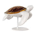 Lladro Sea turtle II white - copper