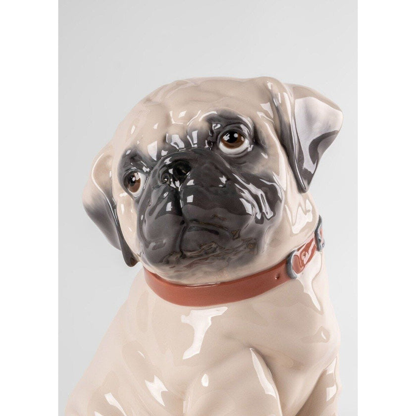 Lladro Puppie Pug