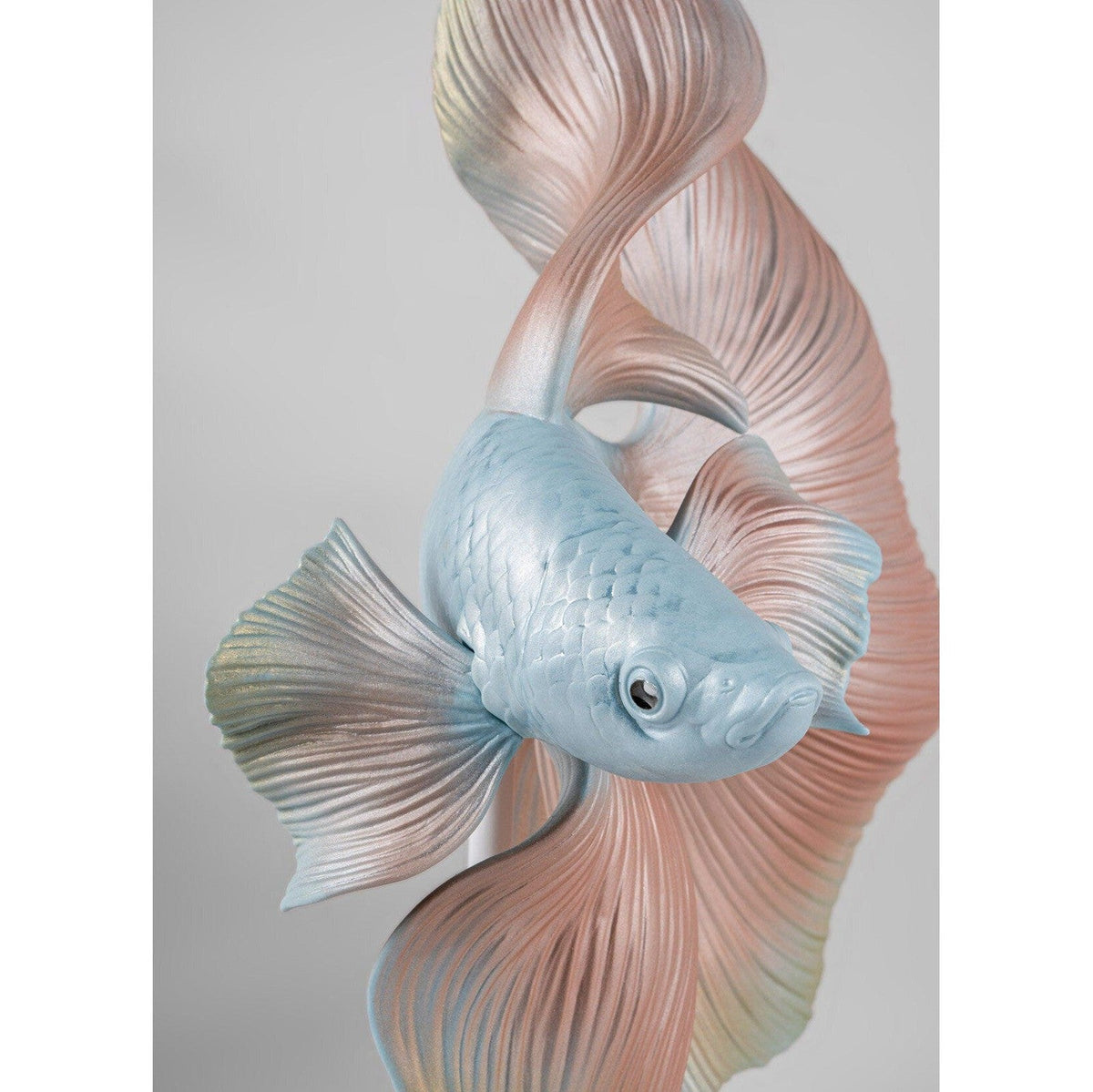 Lladro Betta Fish right