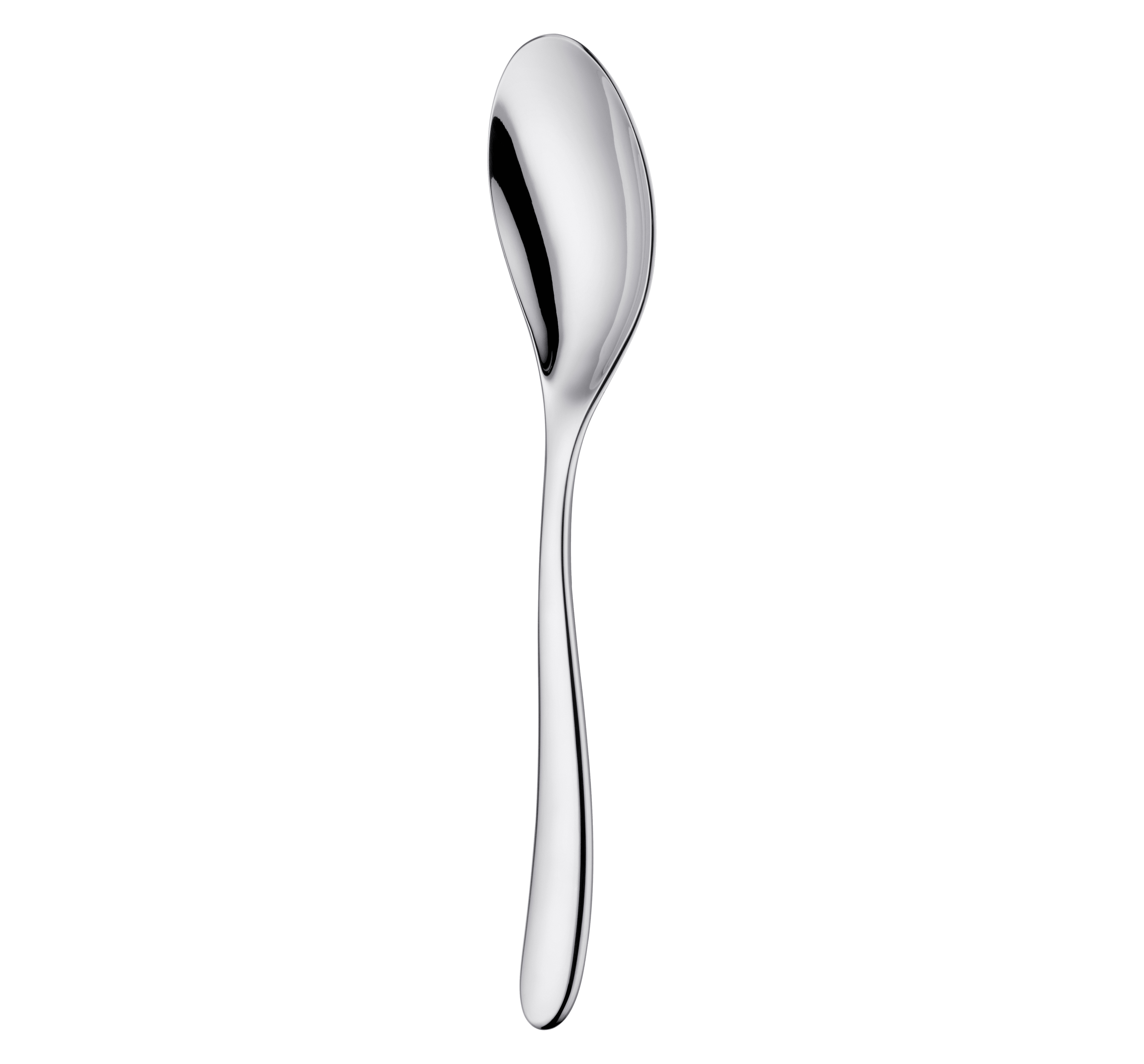 Christofle L'Ame de Christofle Stainless Steel Serving Spoon