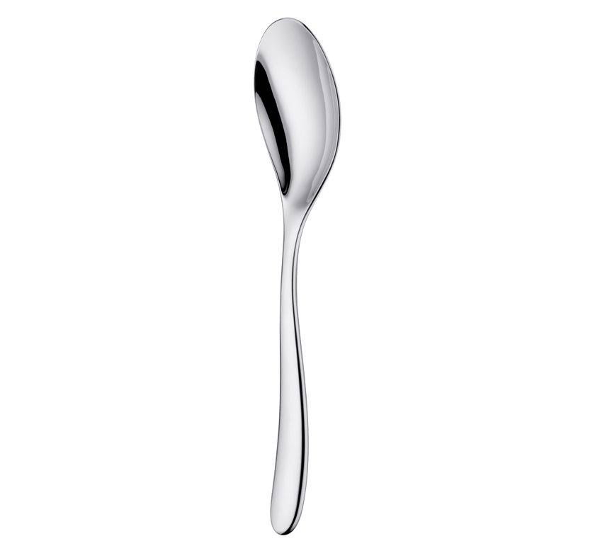 Christofle L'Ame de Christofle Stainless Steel Serving Spoon