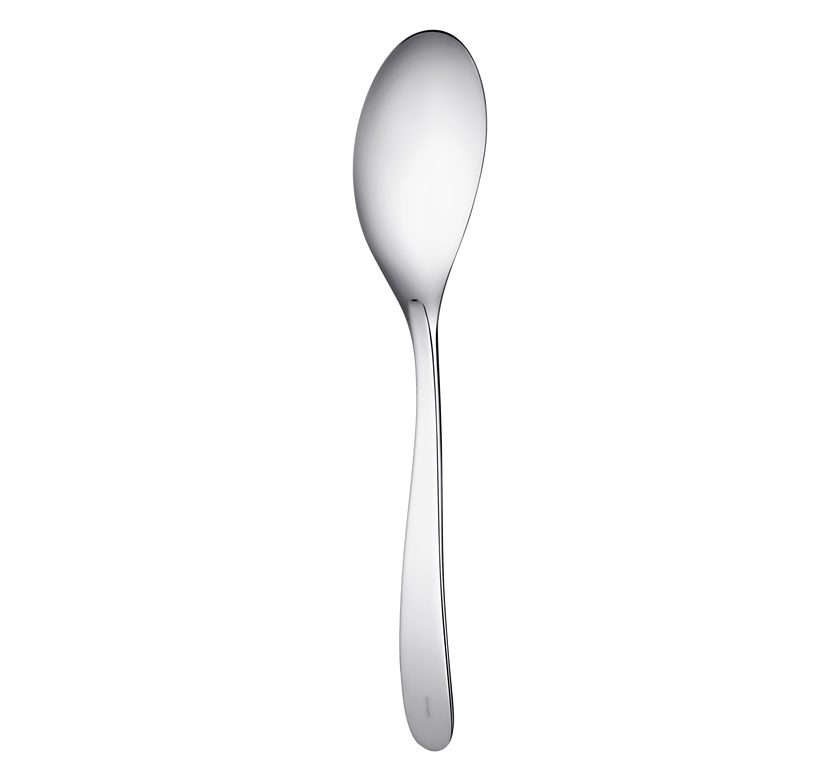 Christofle L'Ame de Christofle Stainless Steel Serving Spoon