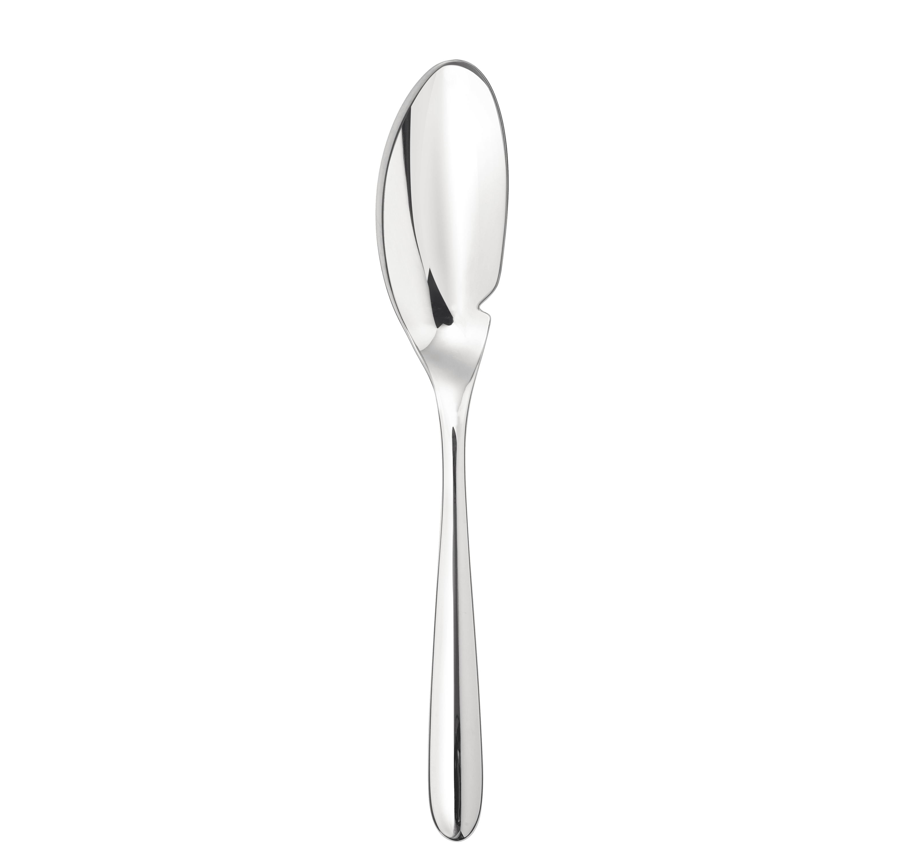 Christofle L'Ame de Christofle Stainless Steel Fish Knife