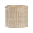 Chelsea House Braided Wicker Planter