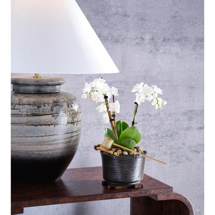 Wildwood Shokubutsu Kuro Vessel