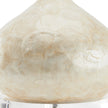 Wildwood Capiz Shell Bottle Lamp