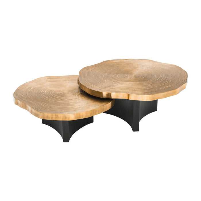 Eichholtz Thousand Oaks Coffee Table - Set of 2