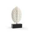 Wildwood Turtle Shell Sculpture
