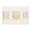Chelsea House Botanical Relief Frame