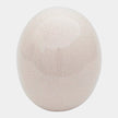 Global Views Ostrich Egg