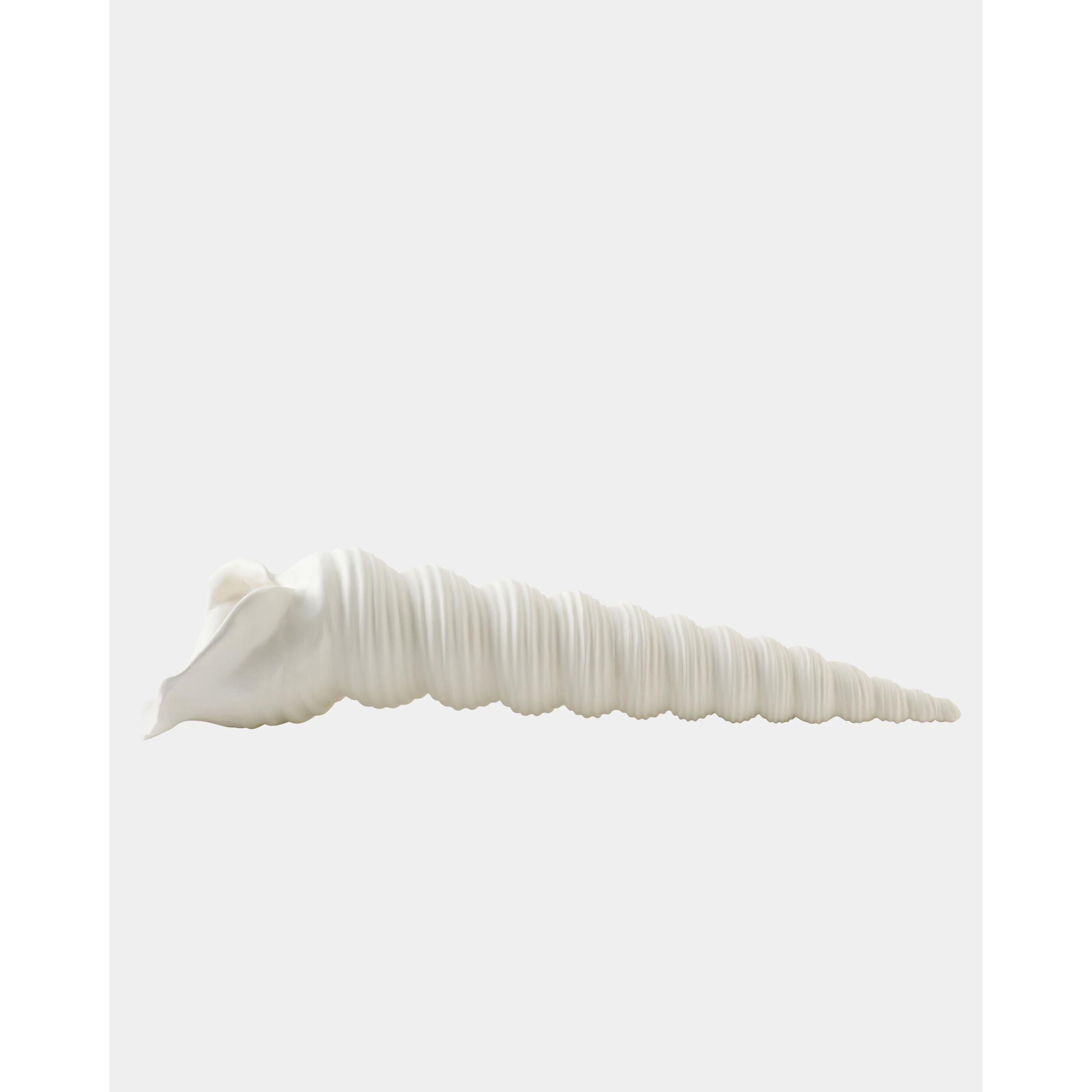 Global Views Turbinio Shell Vase