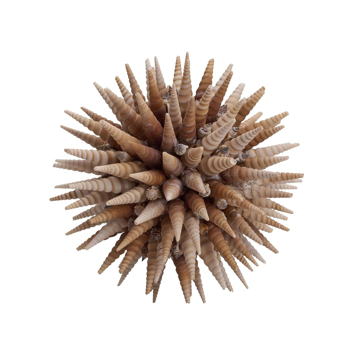 Chelsea House Marlin Shell Ball