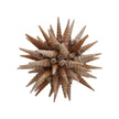 Chelsea House Marlin Shell Ball