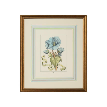 Chelsea House Bl Floral W Ribbon