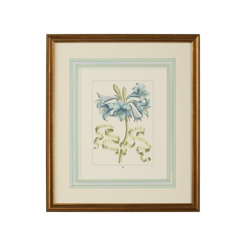 Chelsea House Bl Floral W Ribbon