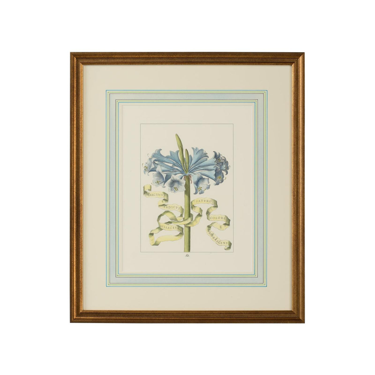 Chelsea House Bl Floral W Ribbon