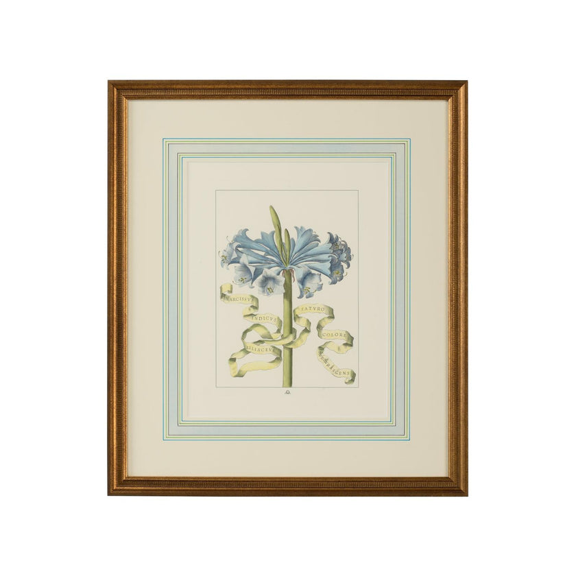 Chelsea House Bl Floral W Ribbon