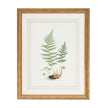 Chelsea House Curtis Ferns Frame