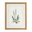 Chelsea House Curtis Ferns Frame