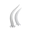 Chelsea House White Horns - Set of 2