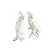 Chelsea House White Cockatoos Figure, Pair
