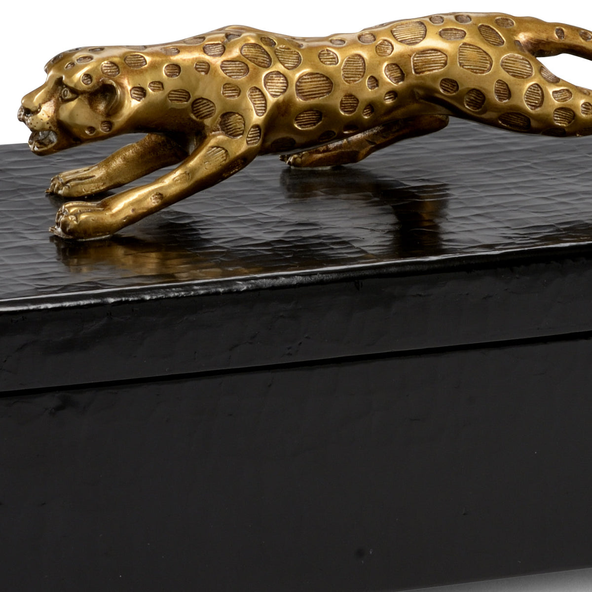 Chelsea House Cheetah Box