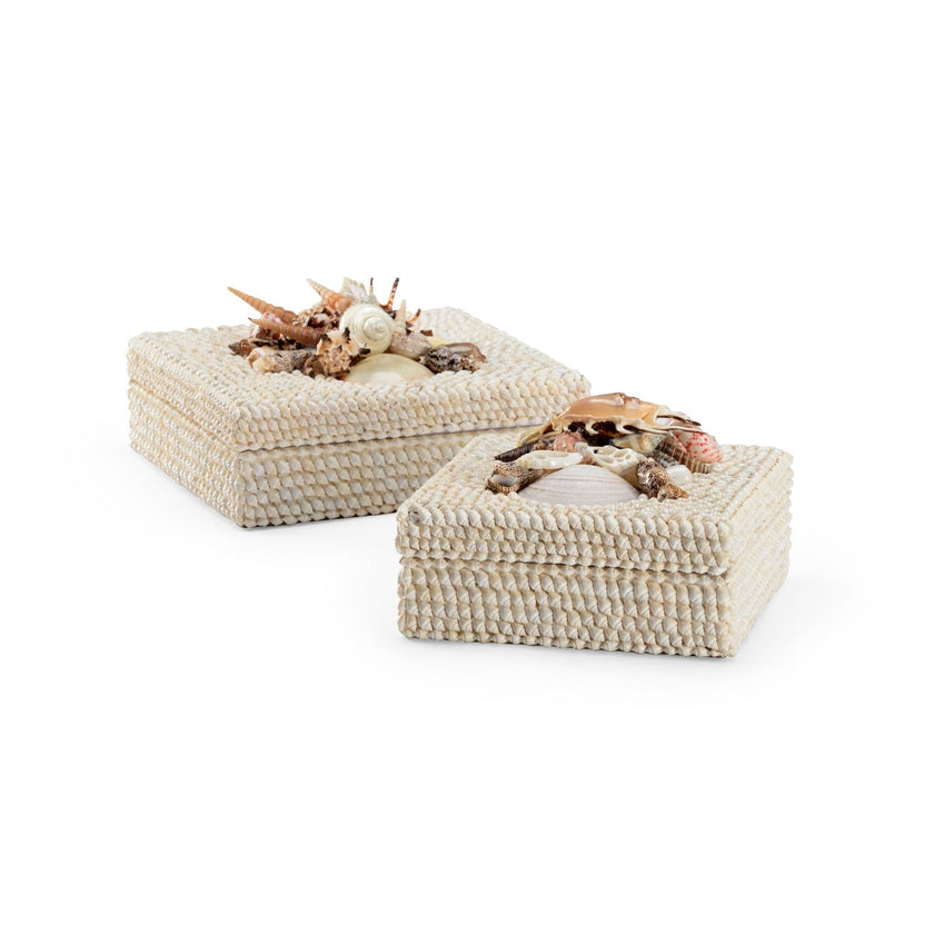 Chelsea House White Shell Boxes - Set of 2