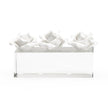 Chelsea House Clear Rose Pave