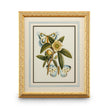 Chelsea House Butterfly Oasis Frame