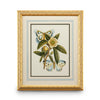 Chelsea House Butterfly Oasis Frame