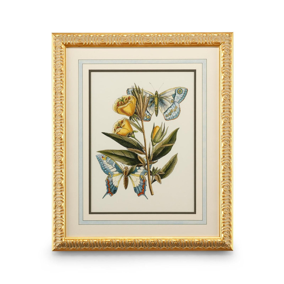 Chelsea House Butterfly Oasis Frame