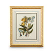 Chelsea House Butterfly Oasis Frame
