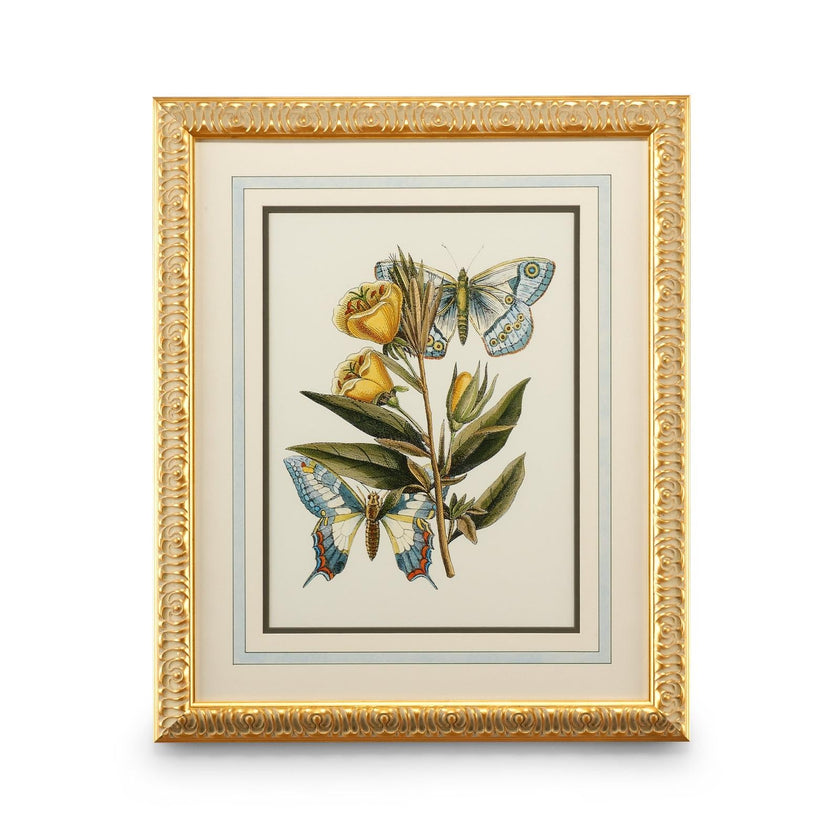 Chelsea House Butterfly Oasis Frame