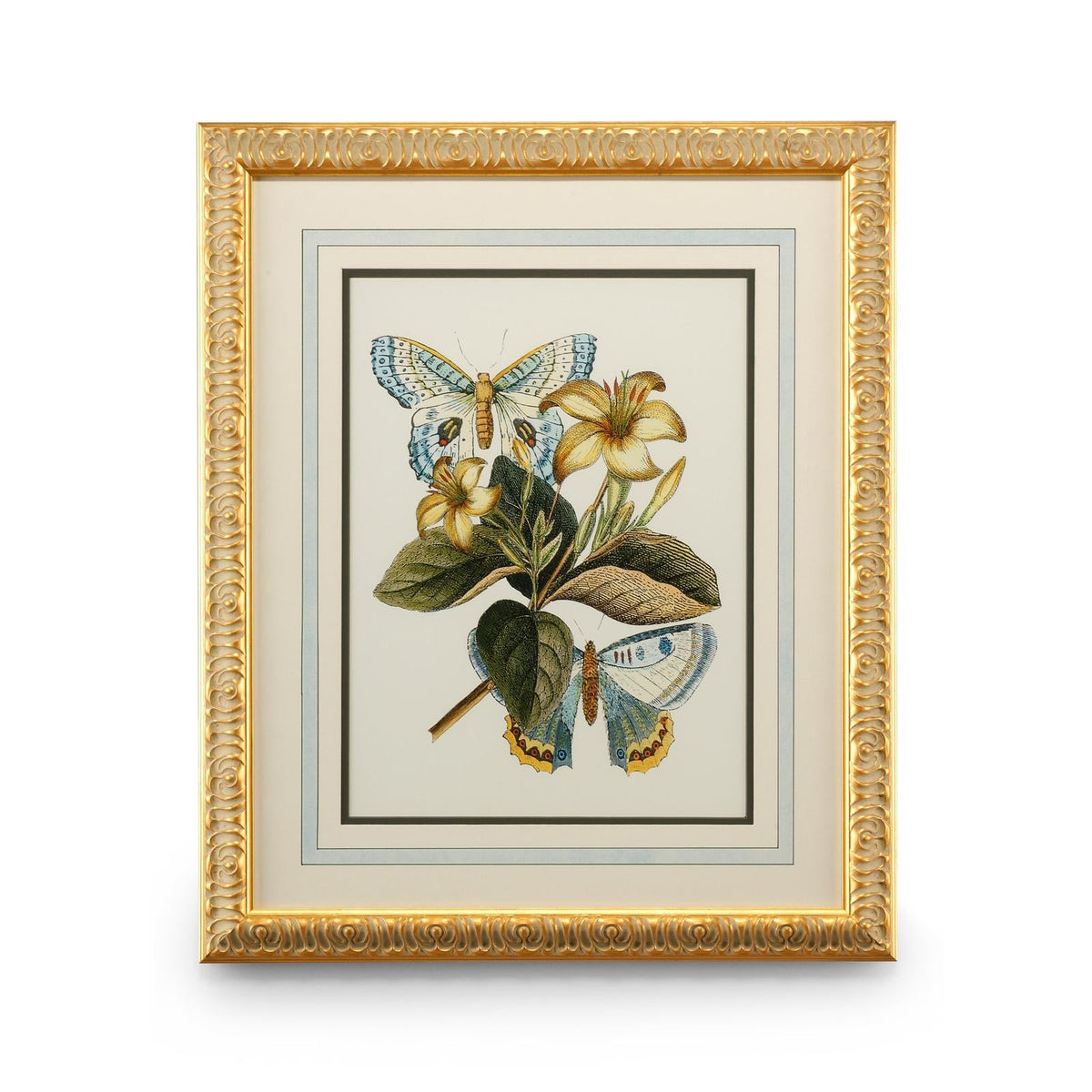 Chelsea House Butterfly Oasis Frame