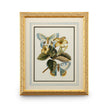 Chelsea House Butterfly Oasis Frame