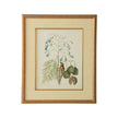 Chelsea House Catesby Bird & Botanical Frame