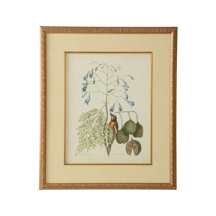Chelsea House Catesby Bird & Botanical Frame