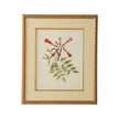 Chelsea House Catesby Bird & Botanical Frame