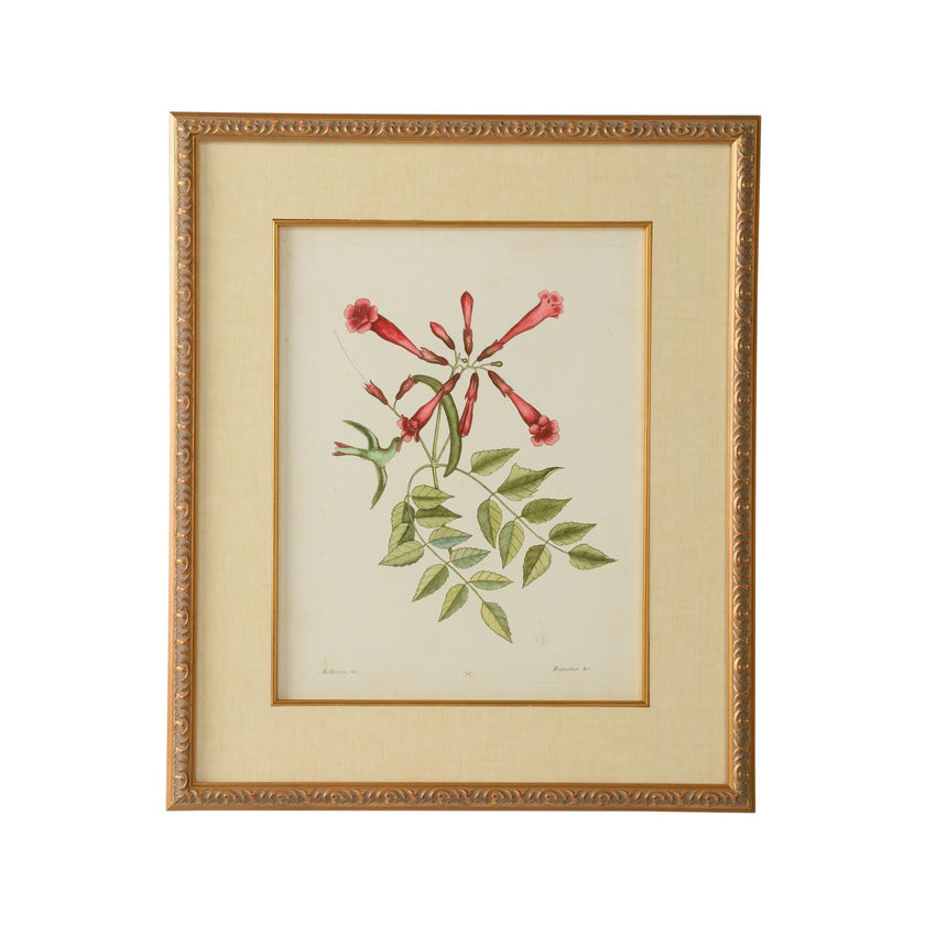 Chelsea House Catesby Bird & Botanical Frame