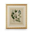 Chelsea House Cottage Florals Frame