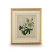 Chelsea House Cottage Florals Frame