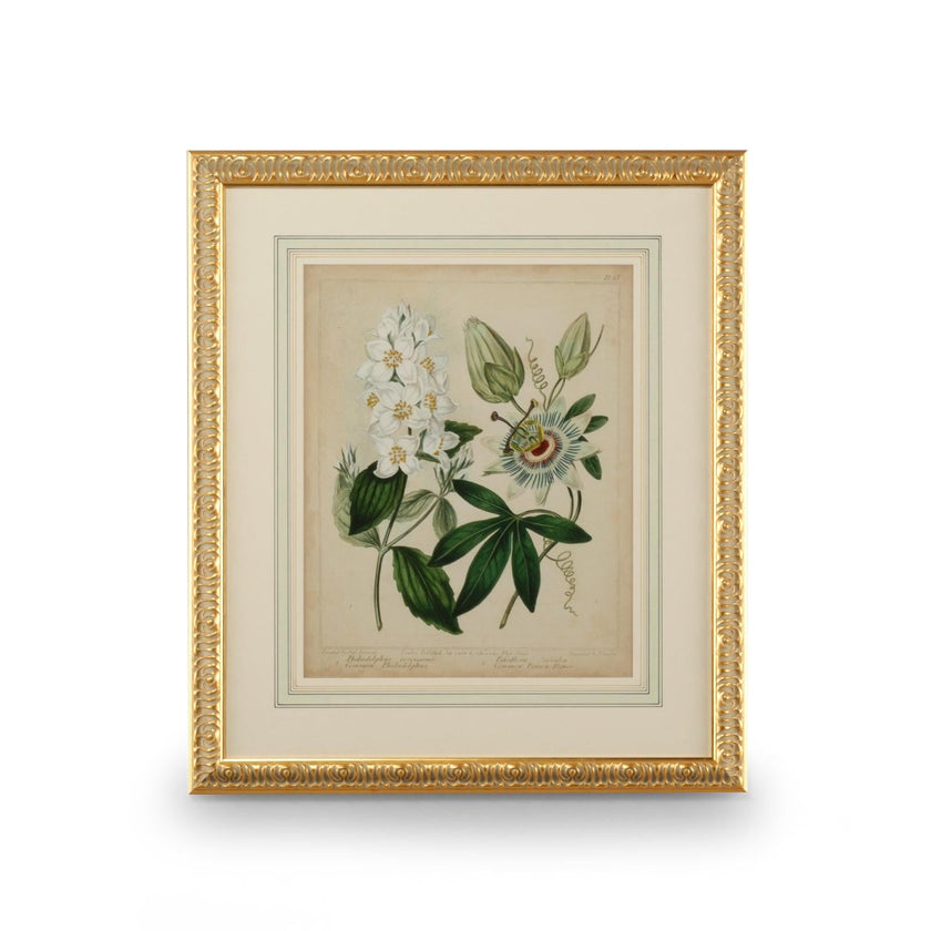 Chelsea House Cottage Florals Frame