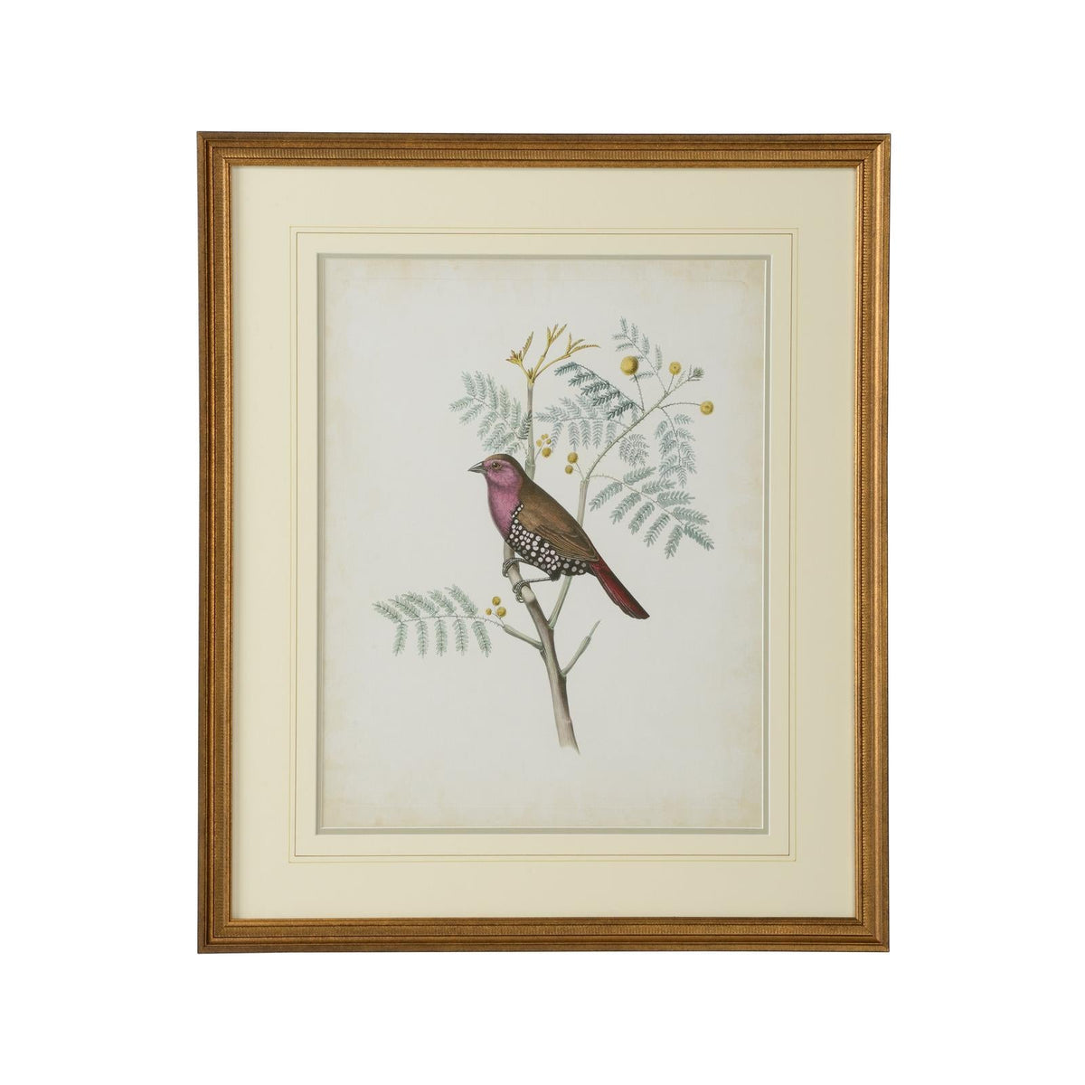 Chelsea House Delicate Birds Frame