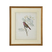 Chelsea House Delicate Birds Frame