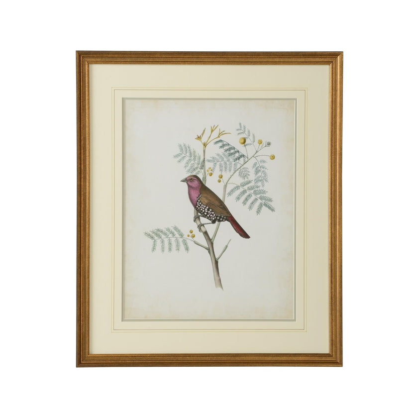 Chelsea House Delicate Birds Frame