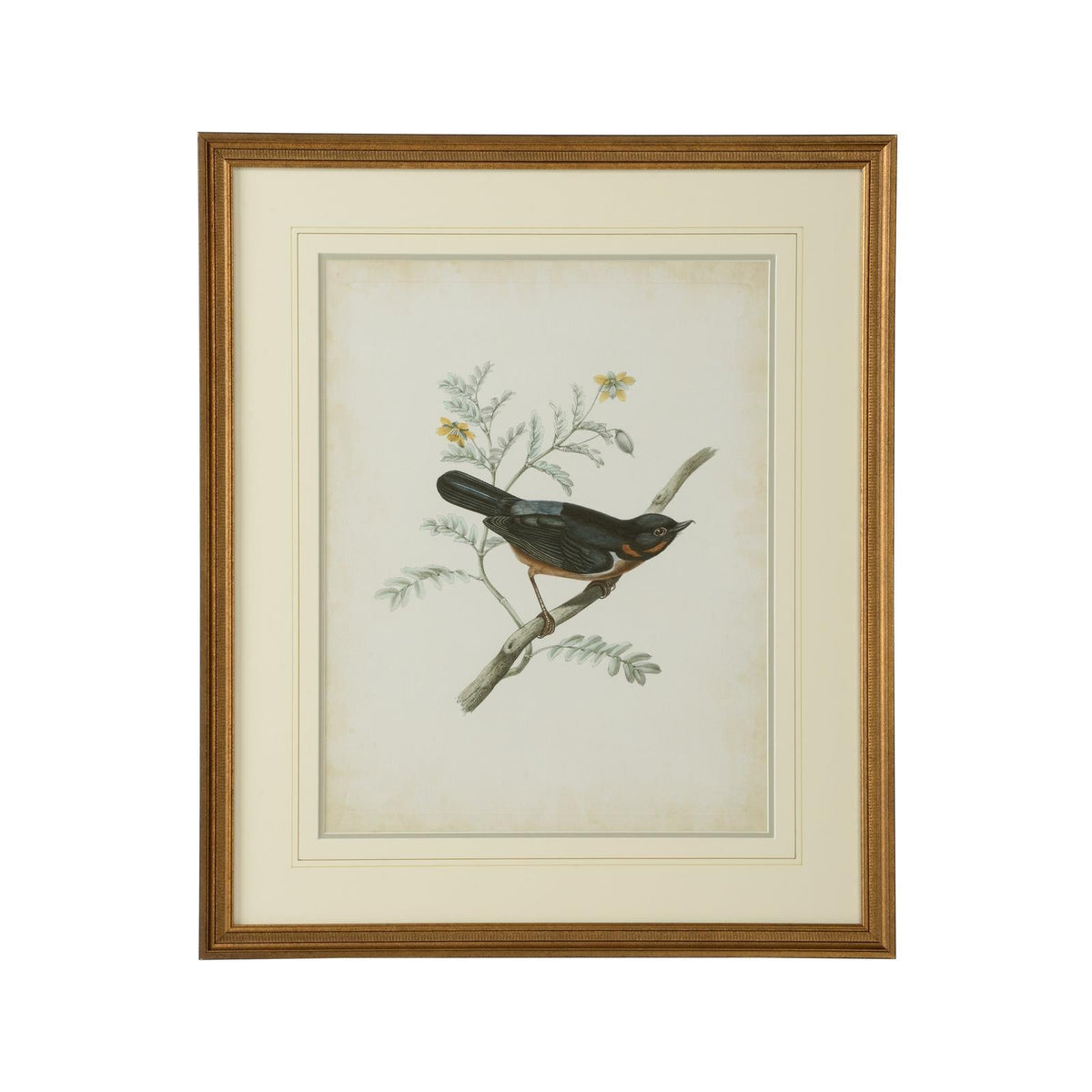 Chelsea House Delicate Birds Frame